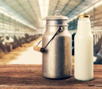 256837-producao-de-leite-como-aumentar-a-qualidade-do-leite-na-fazenda