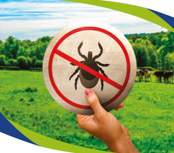 Carrapatos sob controle