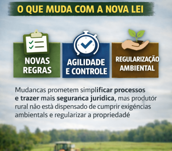 ChatGPT Image 11 de mar. de 2026, 09_53_27