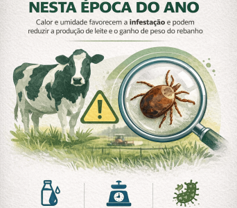 ChatGPT Image 11 de mar. de 2026, 10_03_28