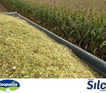 Conheça o Programa Silo +