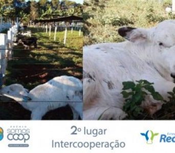 Coopatos recebe Prêmio SomosCoop