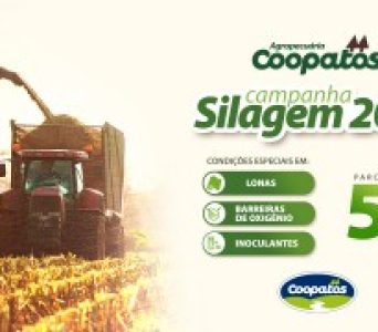 Corte e processo de ensilagem