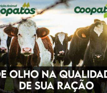 De olho na qualidade de sua ração