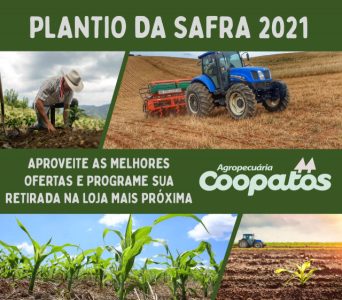 É tempo de plantio e de colher bons frutos