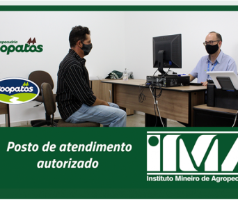 MicrosoftTeams-image