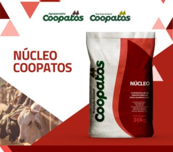 Núcleo Coopatos