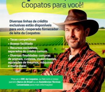 Screenshot 2025-09-17 at 17-04-55 Instagram