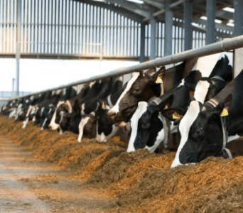 Sem nome (707 × 490 px)