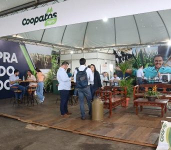 WhatsApp Image 2025-09-17 at 17.01.29