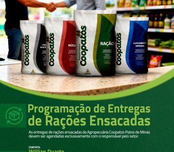 WhatsApp Image 2025-10-15 at 09.32.46