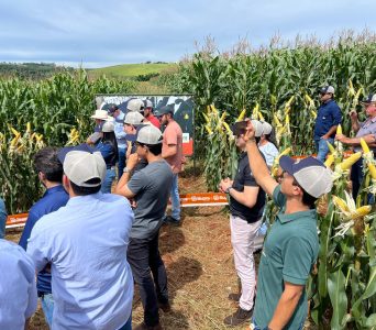 WhatsApp Image 2026-02-12 at 08.32.39 (1)