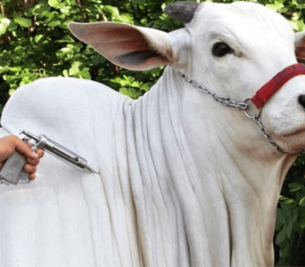 molde-tamanho-foto-capa